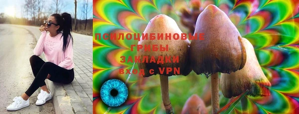 мескалин Алексин