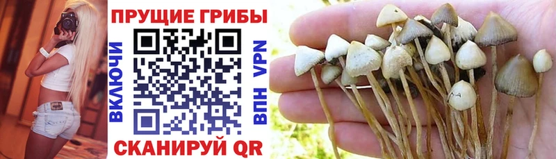 ОМГ ОМГ онион  Усть-Илимск  Галлюциногенные грибы Psilocybine cubensis  где купить наркоту 