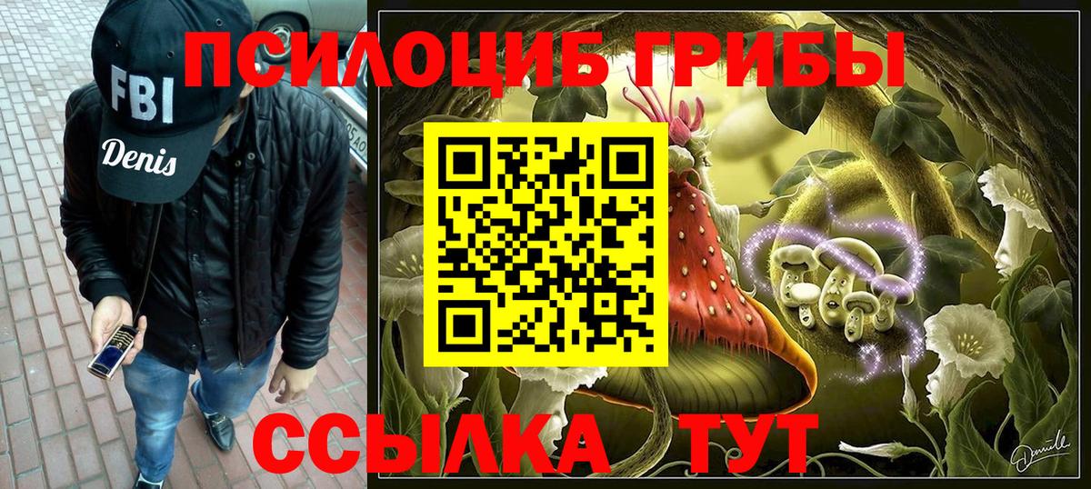 Псилоцибиновые грибы прущие грибы Усть-Илимск
