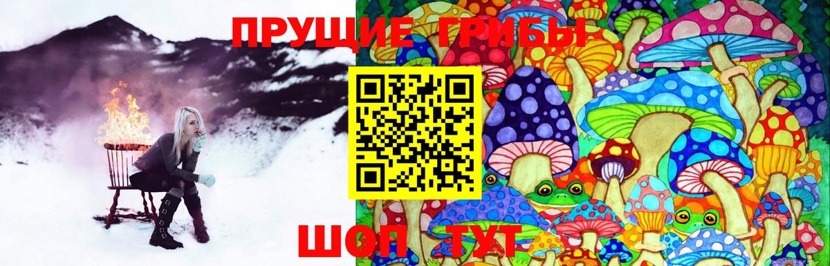 Усть-Илимск  Галлюциногенные грибы MAGIC MUSHROOMS  Псилоцибиновые грибы MAGIC MUSHROOMS  Вход с VPN 